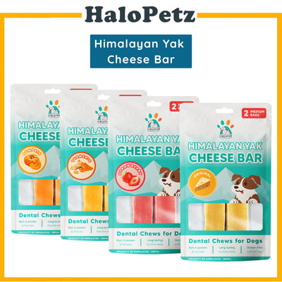 Singapaw Himalayan Cheese Bar Yak Turmeric / Strawberry / Pumpkin Dog Chew Treats
