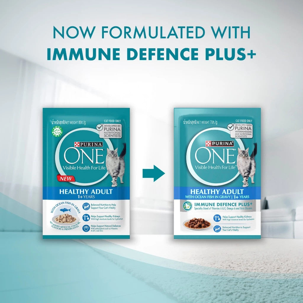 Purina ONE Cat Wet Food Pouch 70g