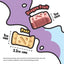 [NEW] Singapaw Freeze-Dried Minis Snacks For Dogs & Cats - Lactose Free