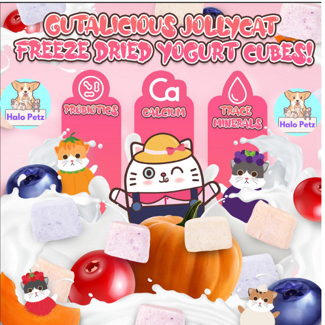Jollycat Freeze Dried Yogurt Cubes 20pcs | Cat Treats | Digestion | Jolly Cat