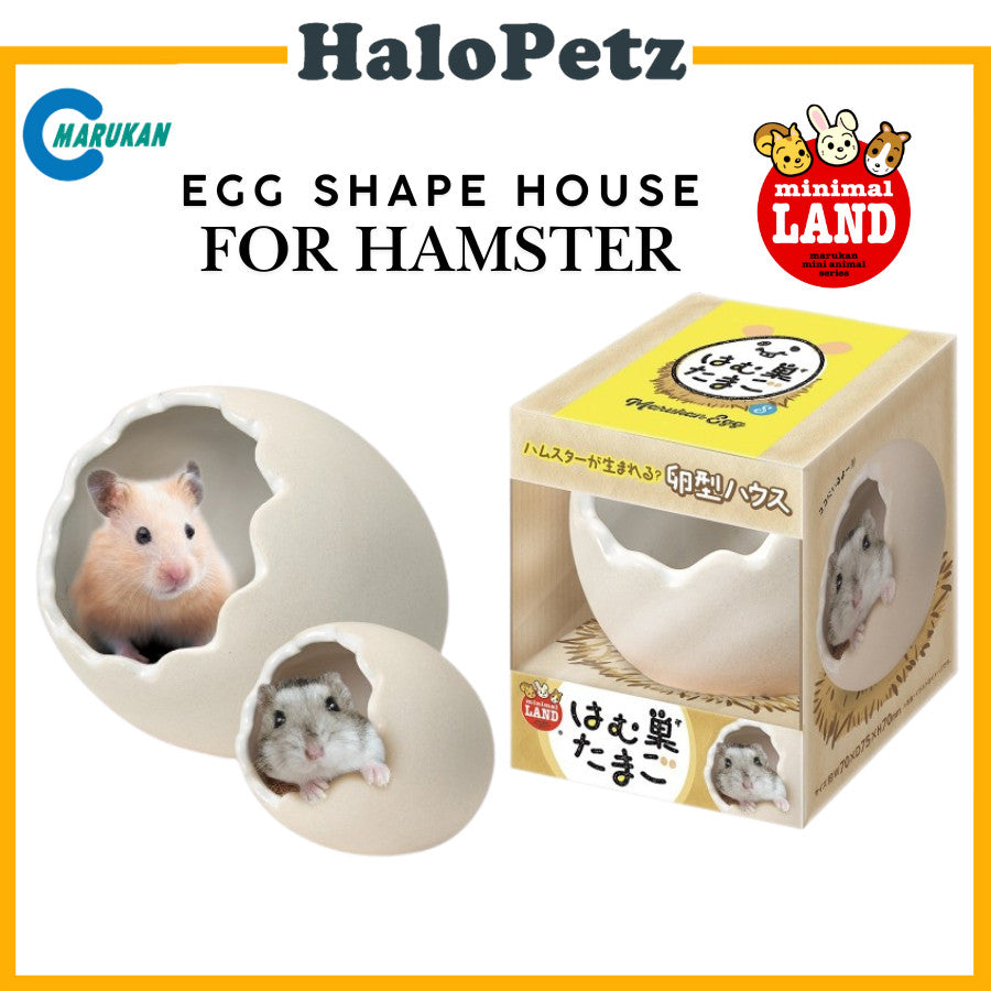 Marukan House | Stairs | Bottle Stand | Hiding Box | Timothy Mat