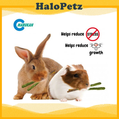 Marukan Tree Twigs Small Animals | Papaya| Grape | Peach |Timothy Stick Apple