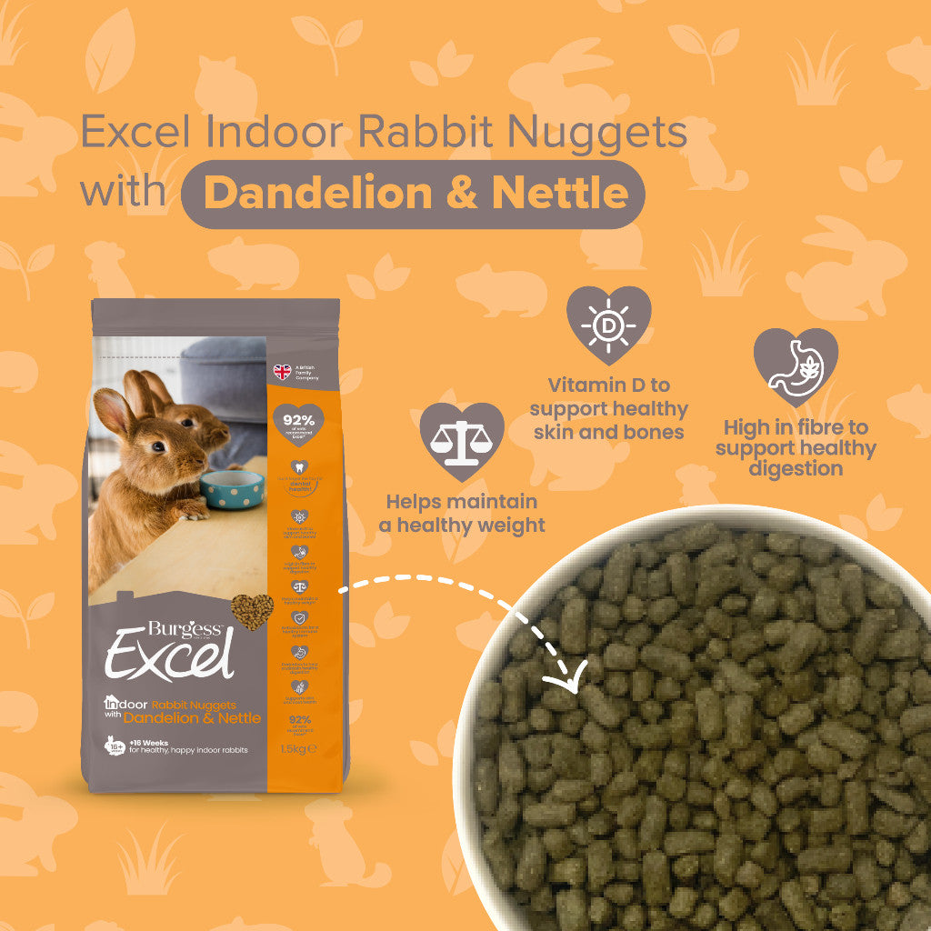 Burgess Excel Nuggets | Rabbit Chinchilla Guinea Pig Food