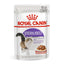 Royal Canin Cat Pouch 85g in Gravy -Sensitive Digestion Hairball, Urinary, Aging +11, Intense Beauty Wet Food