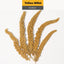 Jonsanty  Natural Grain Complete Parrot, Parakeet Food | Millet Snack
