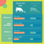 Daily Delight MOO Milk for Cat & Dog | Lactose-Free Pet Milk for All Life Stages | Grass-Fed Milk 1L