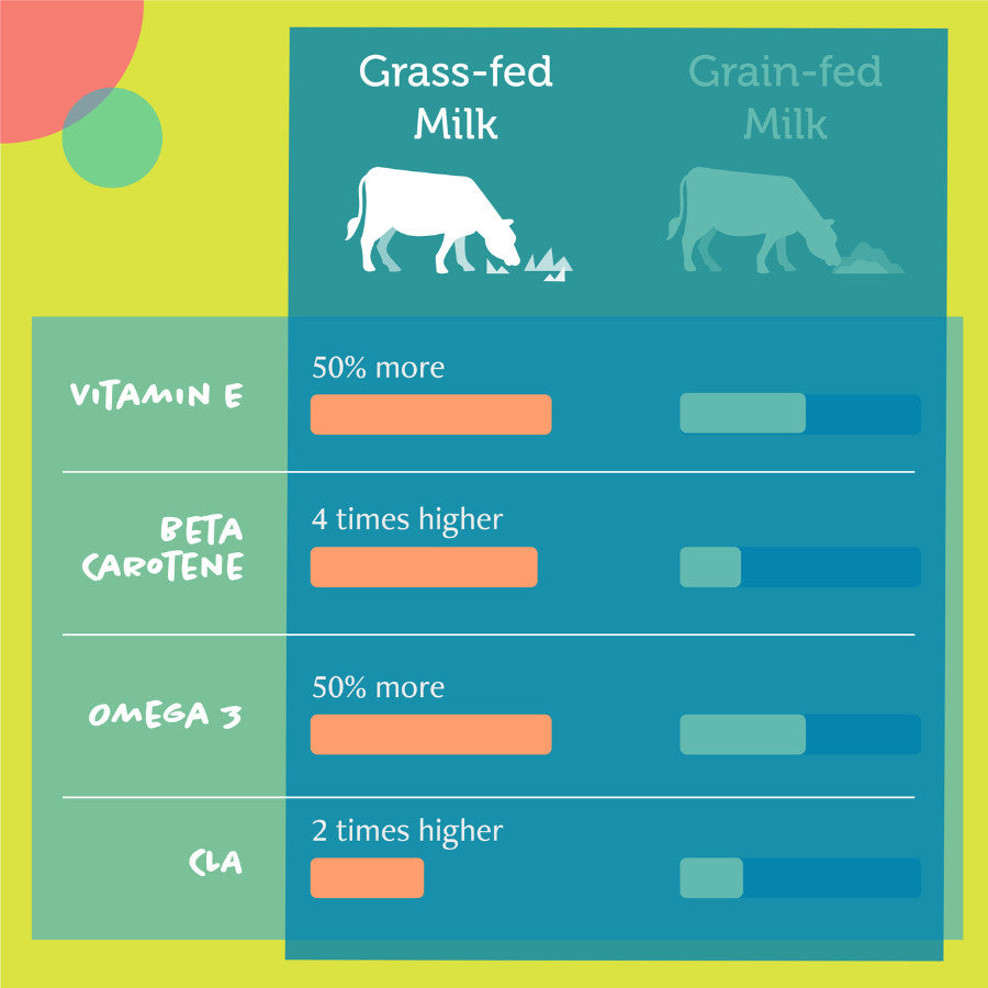 Daily Delight MOO Milk for Cat & Dog | Lactose-Free Pet Milk for All Life Stages | Grass-Fed Milk 1L