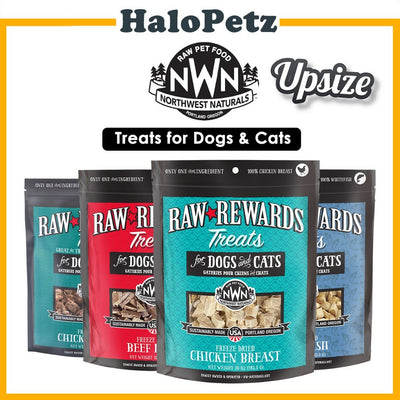 Northwest Freeze Dried Dog and Cats Treats 10z