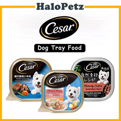Cesar Wet Dog Tray Food 85g / 100g