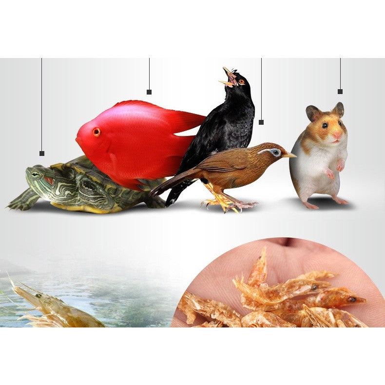 Jonsanty Turtle Food & Treats