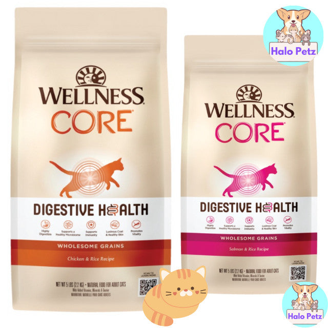 Wellness CORE Digestive Health Grain-Free Dry Cat Food | High Protein with Prebiotics
