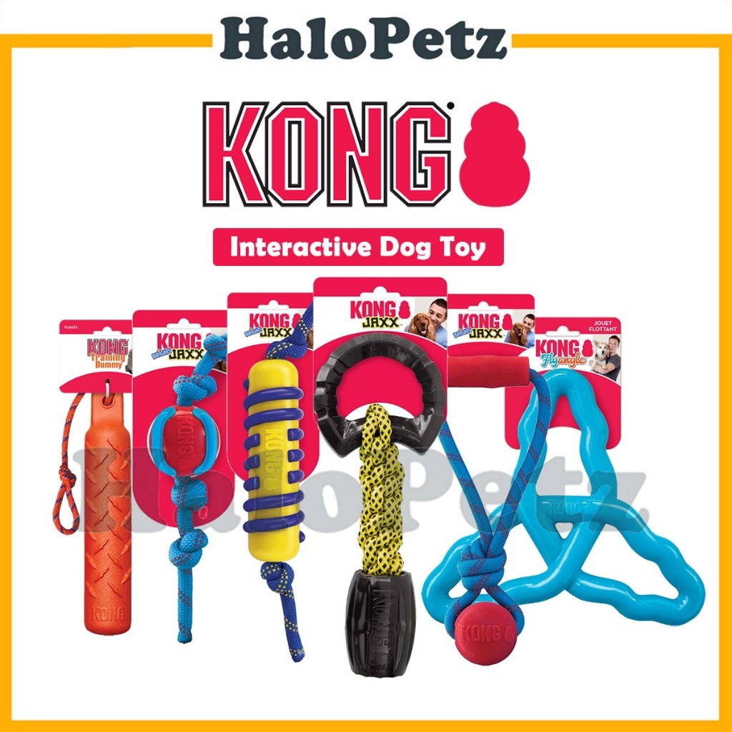 Kong Interactive Dog Toy | Fly Angle | Training Dummy | Jaxx | Twist | Bamboo