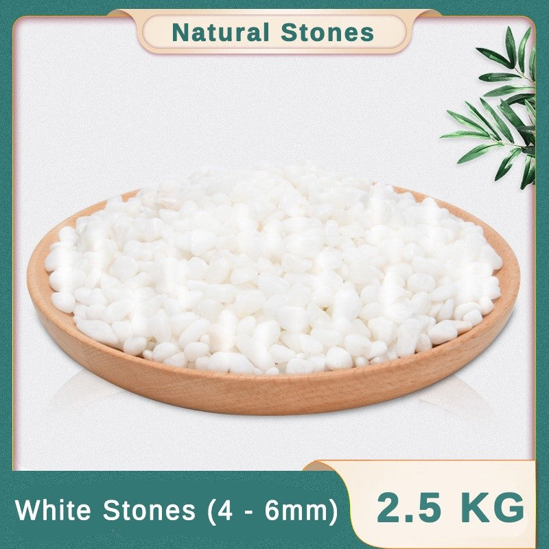 YEE Ornamental Natural Rocks Decorative Landscape