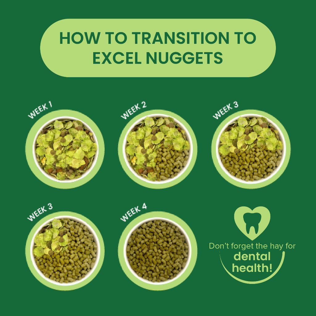 Burgess Excel Nuggets | Rabbit Chinchilla Guinea Pig Food