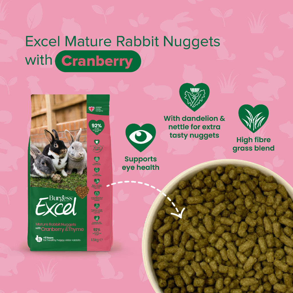 Burgess Excel Nuggets | Rabbit Chinchilla Guinea Pig Food