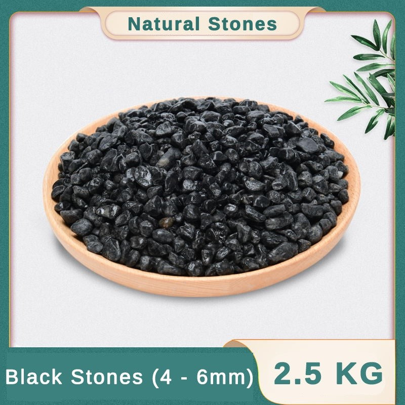 YEE Ornamental Natural Rocks Decorative Landscape