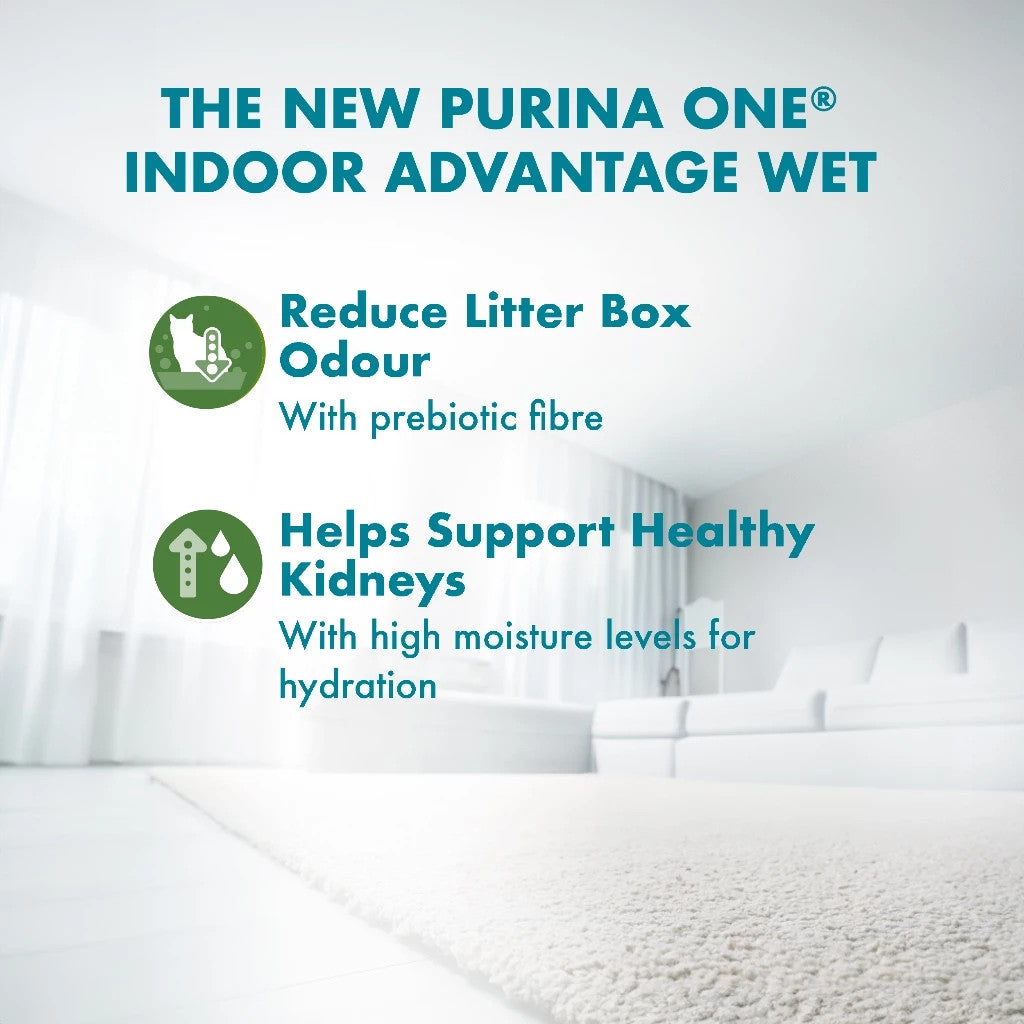Purina ONE Cat Wet Food Pouch 70g