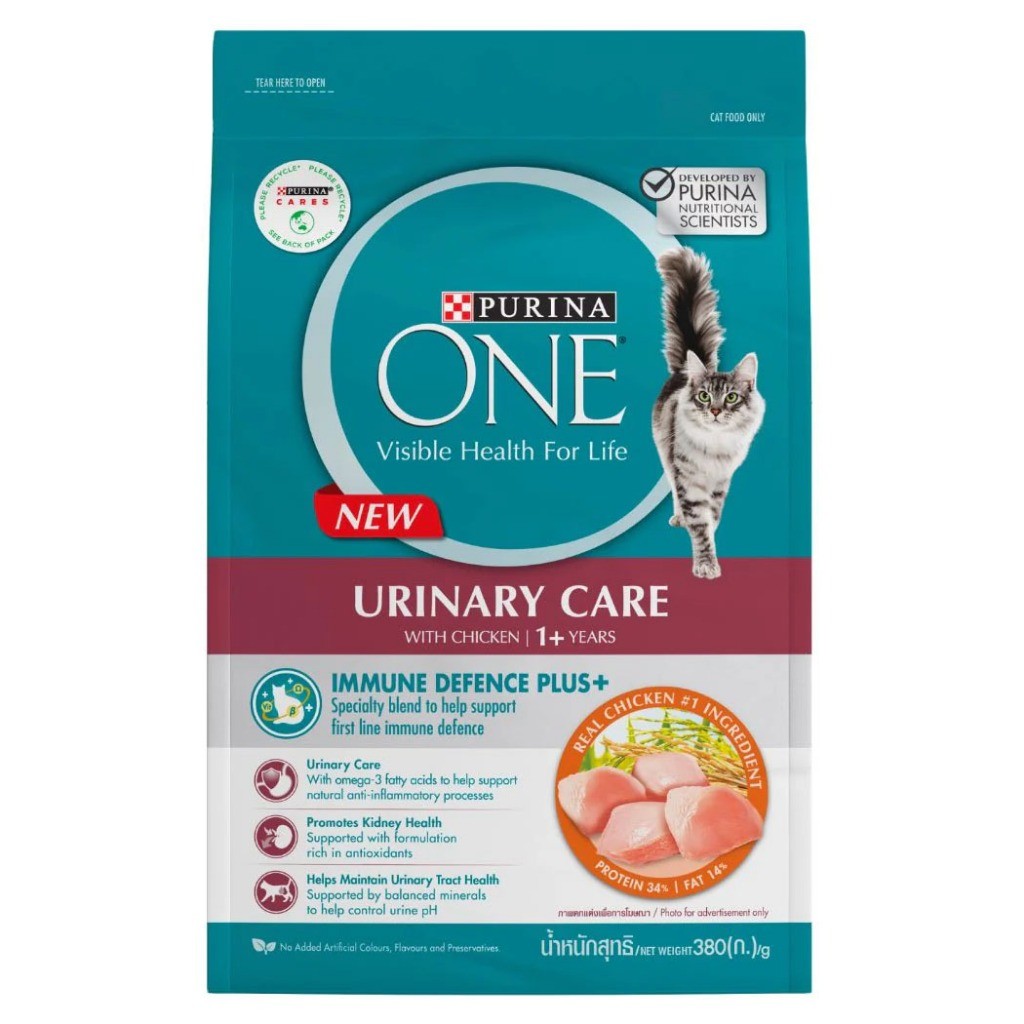 Purina ONE Cat Dry Food Kibbles 1.2kg | Hairball, Urinary, Kitten, Adult Salmon
