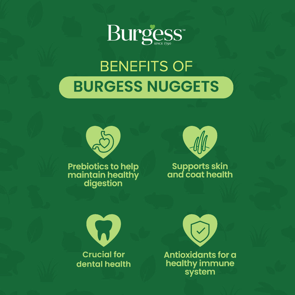 Burgess Excel Nuggets | Rabbit Chinchilla Guinea Pig Food