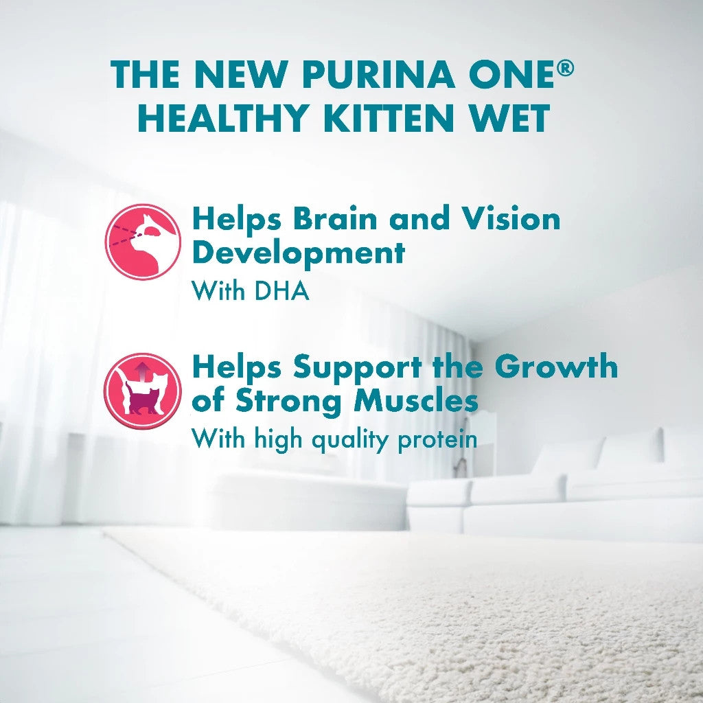 Purina ONE Cat Wet Food Pouch 70g