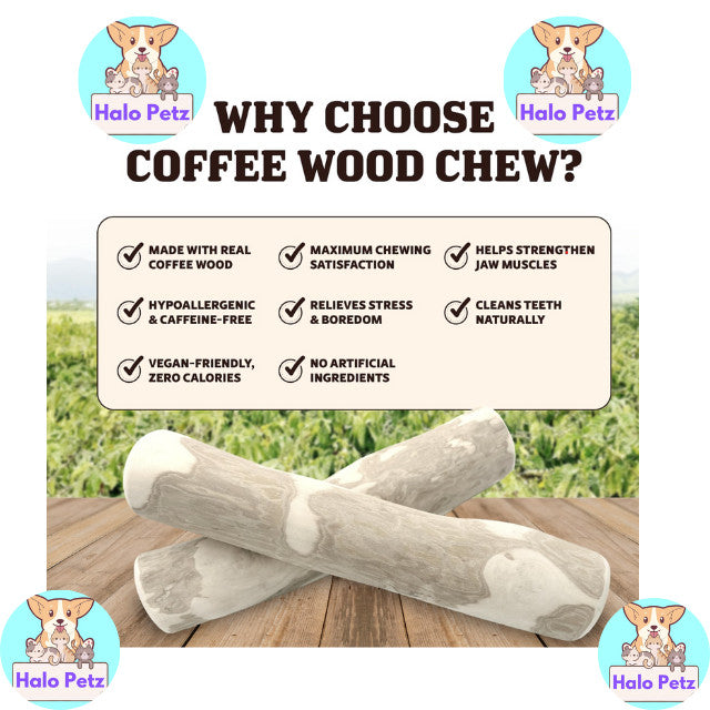 Singapaw Natural Coffee Wood Chew | Dog | Dental