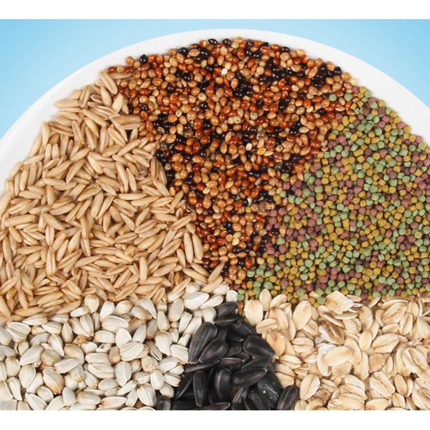 Jonsanty  Natural Grain Complete Parrot, Parakeet Food | Millet Snack