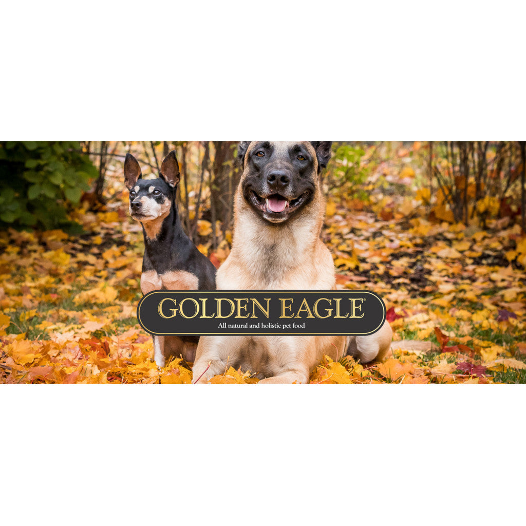 [Expiry: Jun 26] Golden Eagle Salmon Hypo-Allergenic Dog 10kg