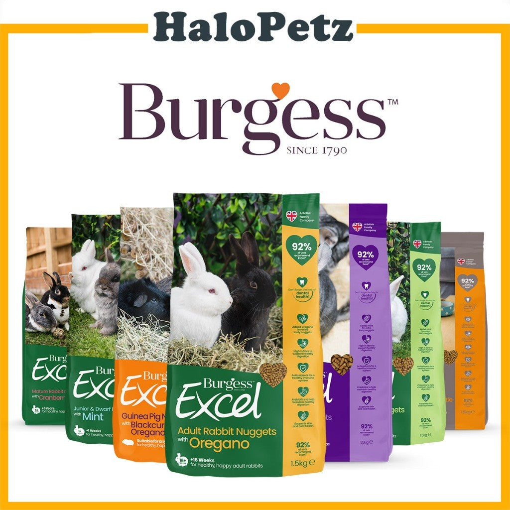 Burgess Excel Nuggets | Rabbit Chinchilla Guinea Pig Food