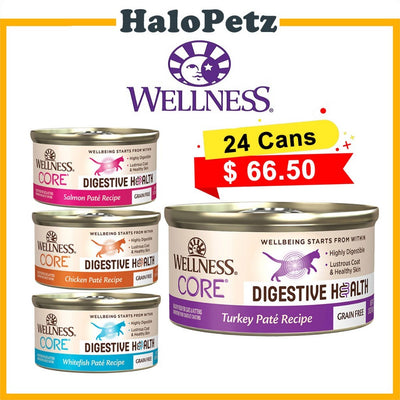 Wellness Core Digestive Health Pate Wet Canned Cat Food 3oz
