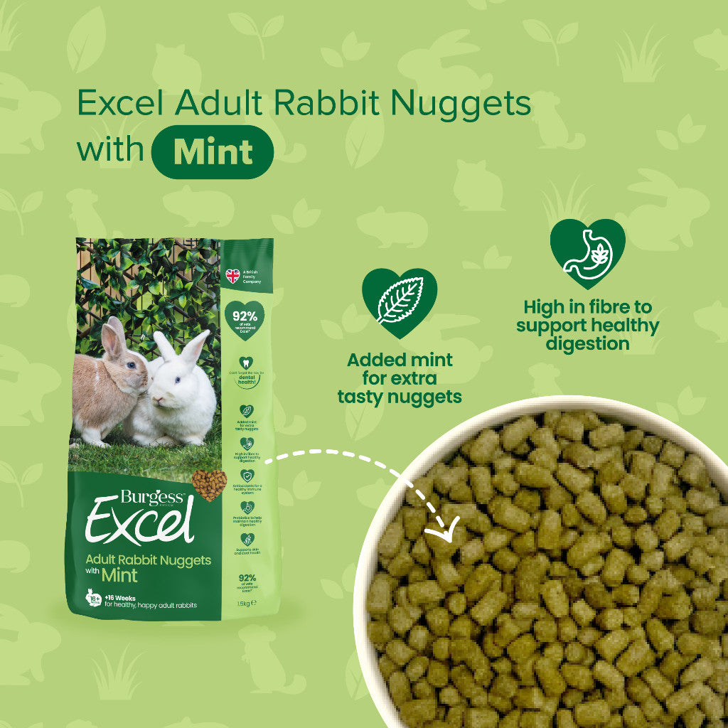 Burgess Excel Nuggets | Rabbit Chinchilla Guinea Pig Food