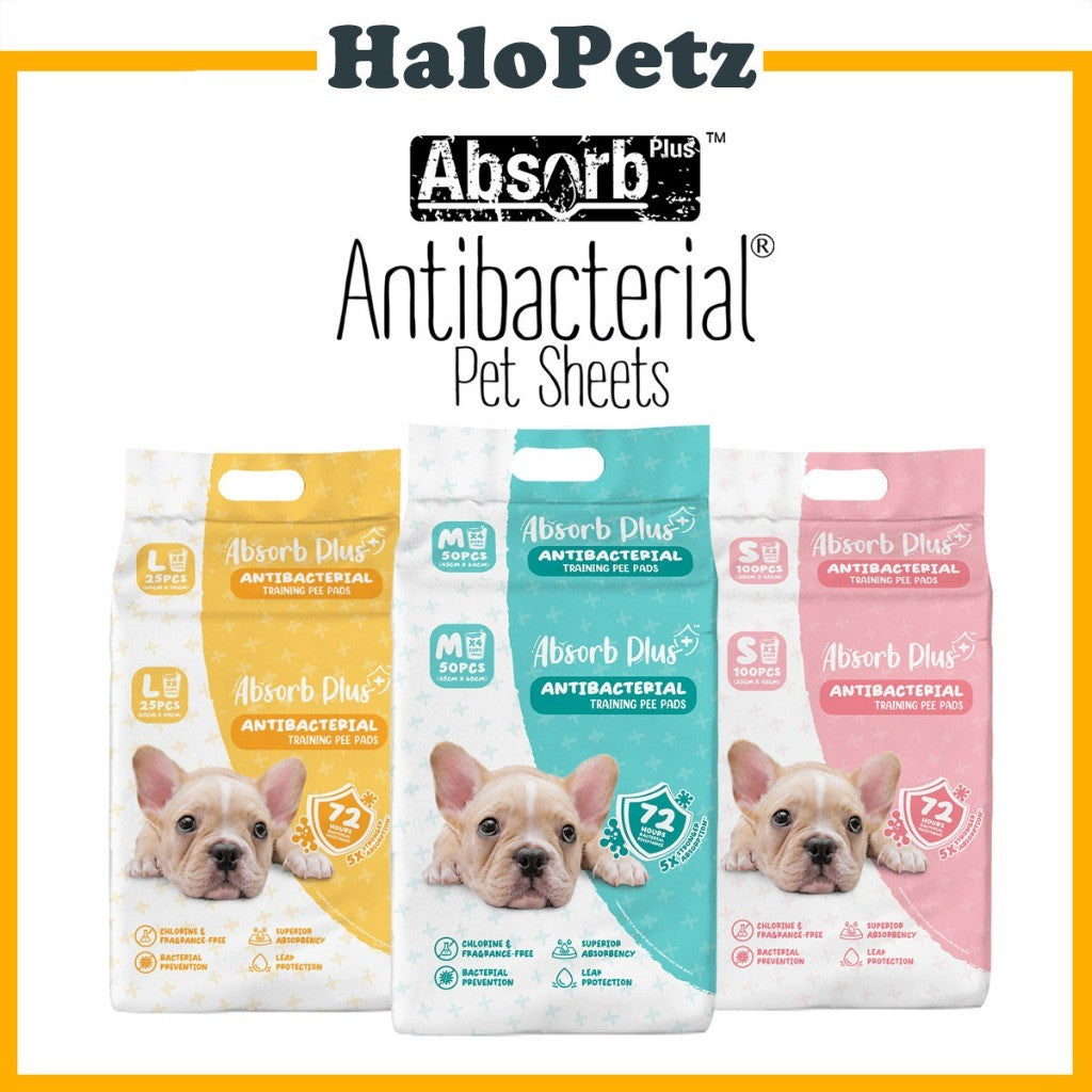 Absorb Plus Antibacterial Pee Pad/ Pet Sheets