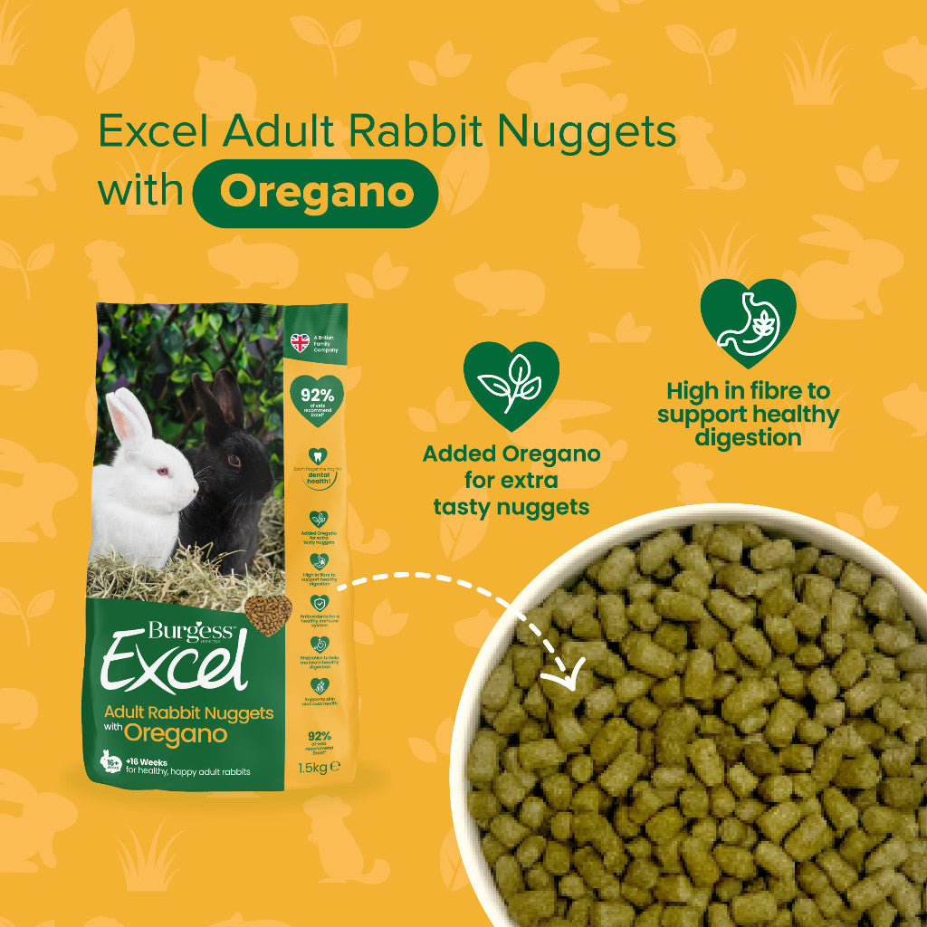Burgess Excel Nuggets | Rabbit Chinchilla Guinea Pig Food