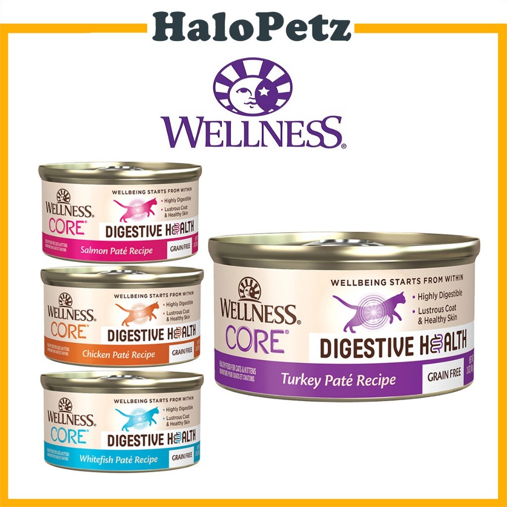 Wellness CORE Digestive Health Pâté Wet Cat Food 3oz | Gut Support with Prebiotics