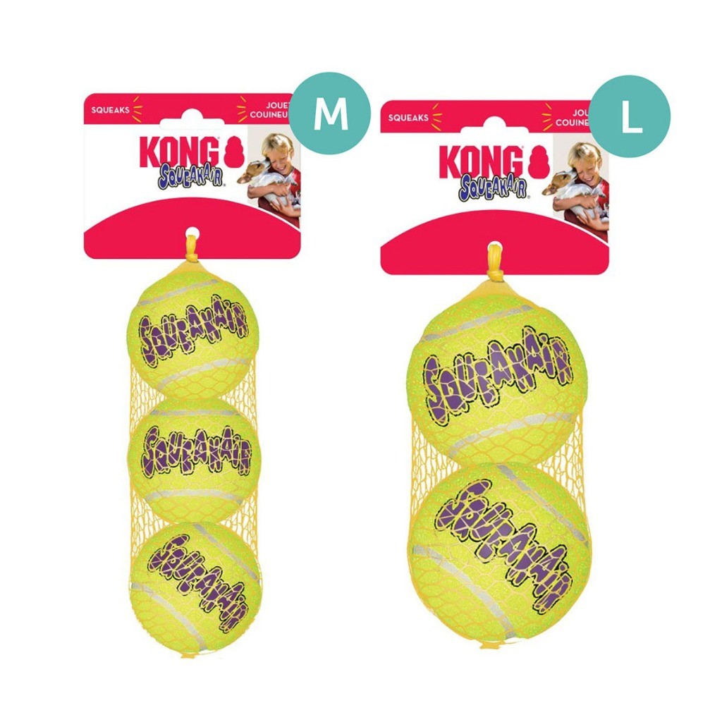 Kong AirDog Dog Toy | Donut, Football, Dumbbell, Stick & Ball | Squeaky Fetch Toys