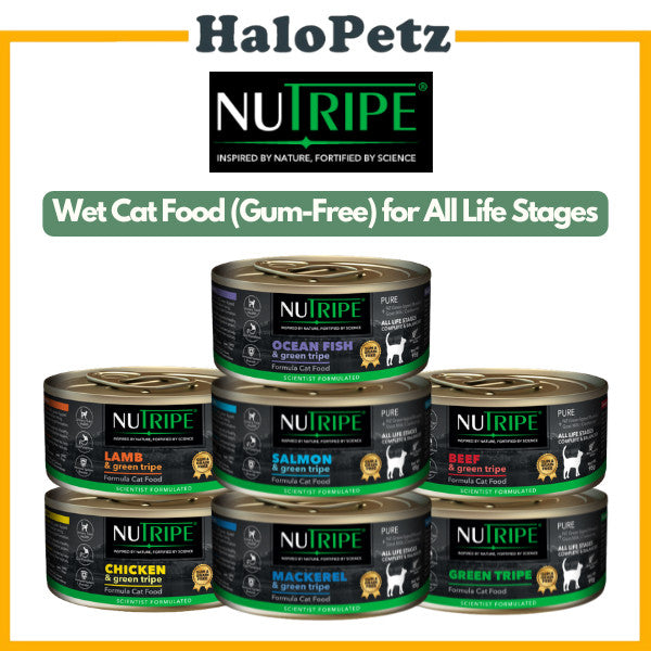 Nutripe Cat Pure with Green Tripe Can Food 95g
