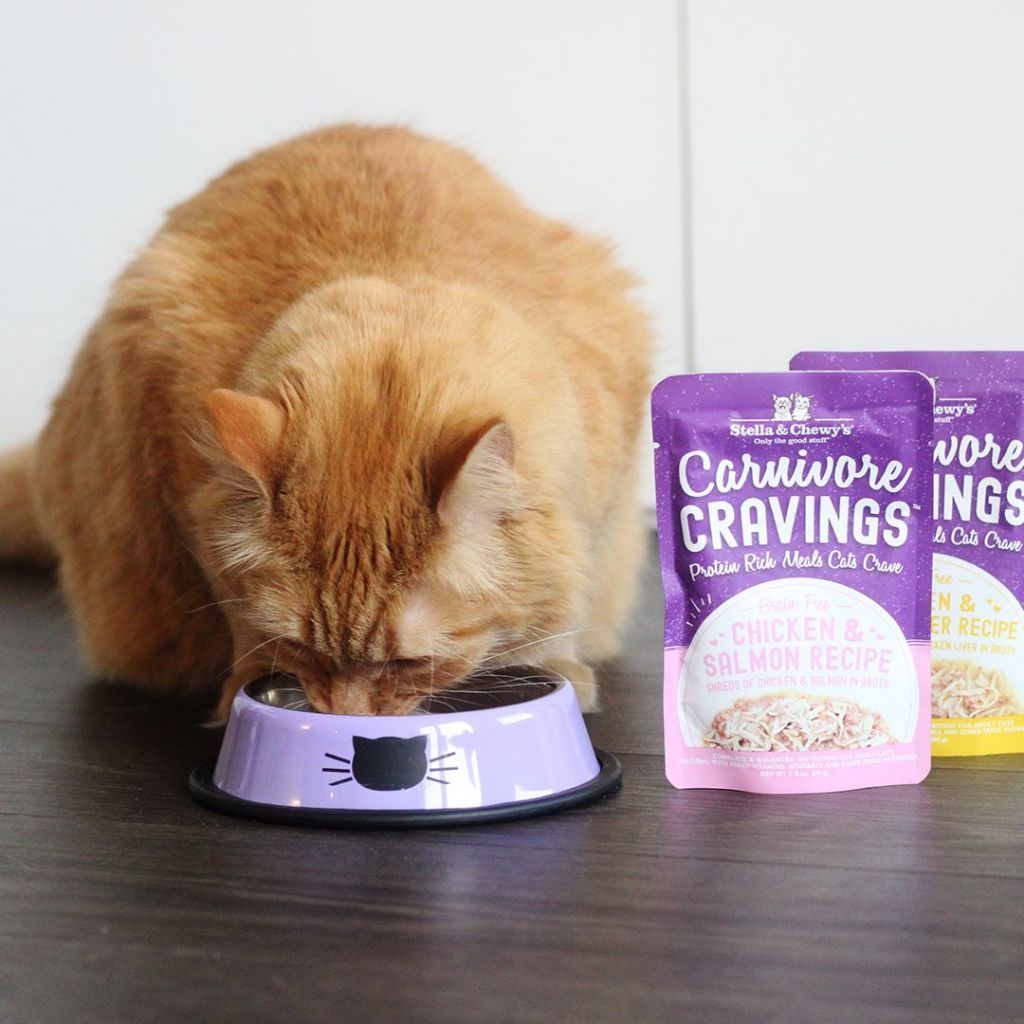 Stella & Chewy's Carnivore Cravings Wet Cat Food 2.8oz | High Protein Grain-Free
