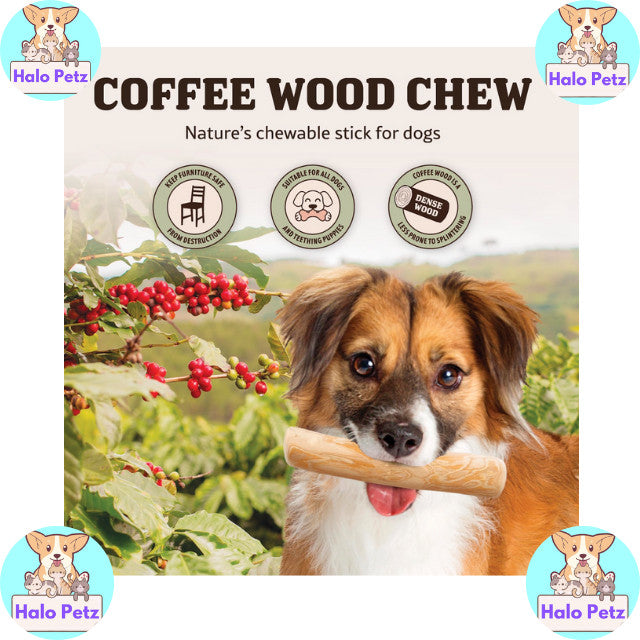 Singapaw Natural Coffee Wood Chew | Dog | Dental