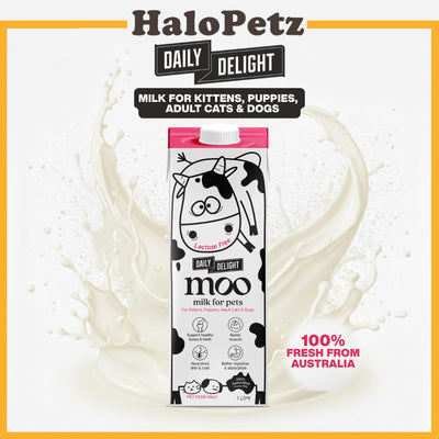 Daily Delight MOO Milk for Cat & Dog | Lactose-Free Pet Milk for All Life Stages | Grass-Fed Milk 1L
