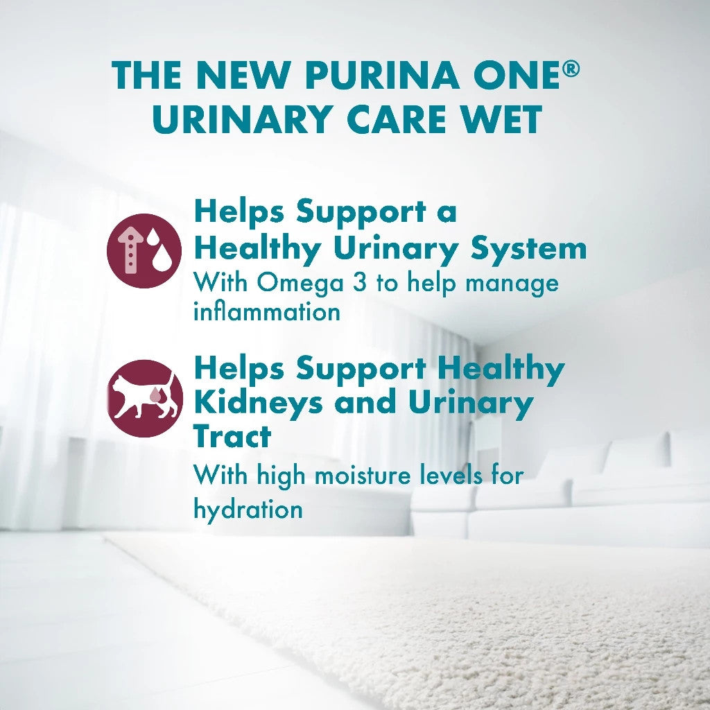 Purina ONE Cat Wet Food Pouch 70g