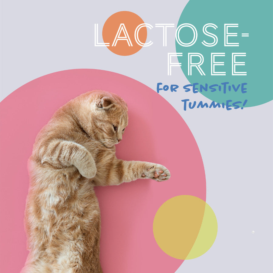 Daily Delight MOO Milk for Cat & Dog | Lactose-Free Pet Milk for All Life Stages | Grass-Fed Milk 1L