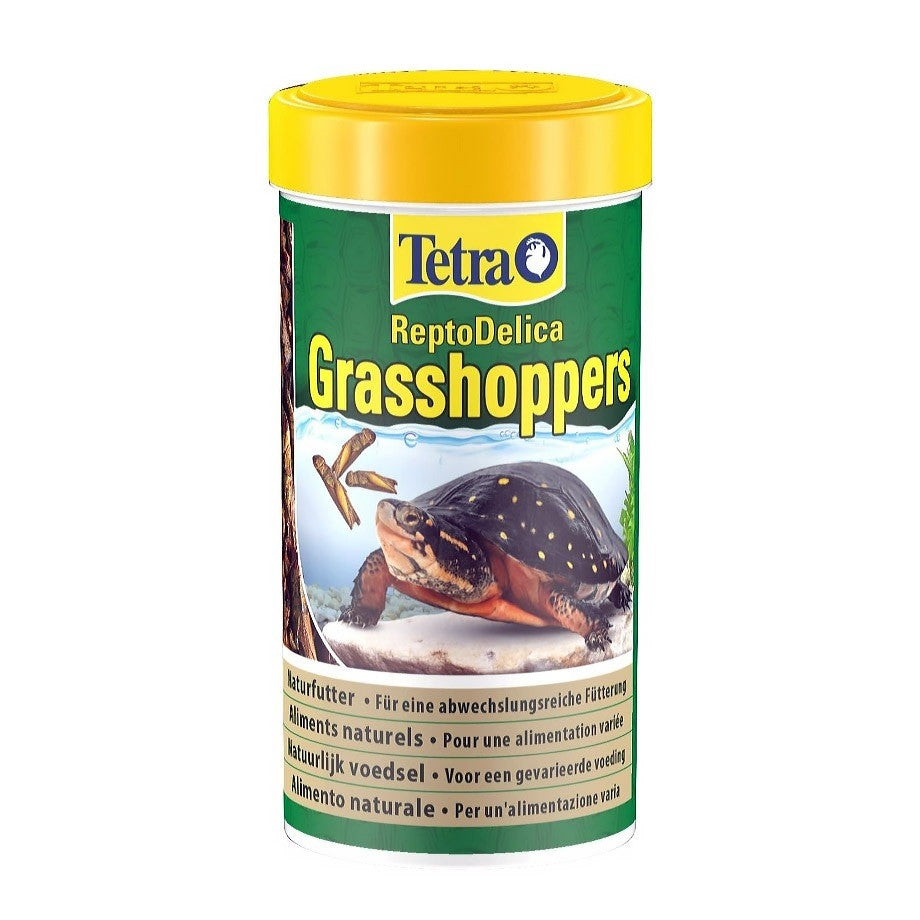 Tetra ReptoMin ReptoDelica Turtle Food