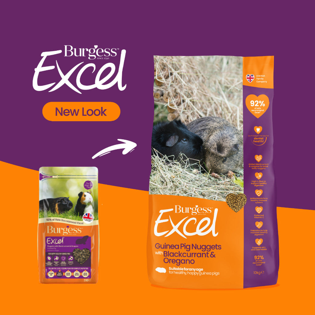 Burgess Excel Nuggets | Rabbit Chinchilla Guinea Pig Food