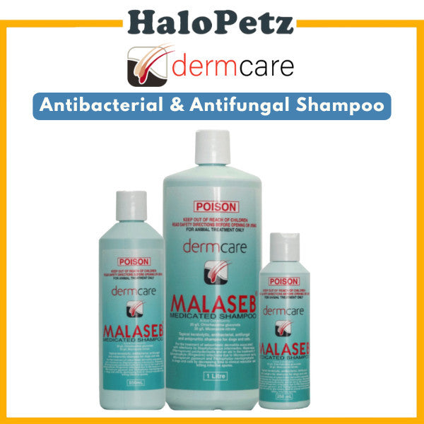 Dermcare Malaseb Medicated Shampoo 250ml/500ml/1L Dog & Cat