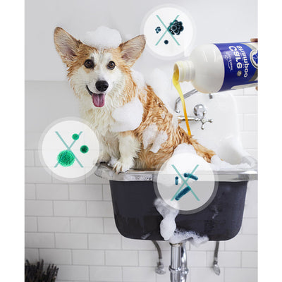 Vegebrand Anti-bacterial and Anti-itch Shampoo 250ml