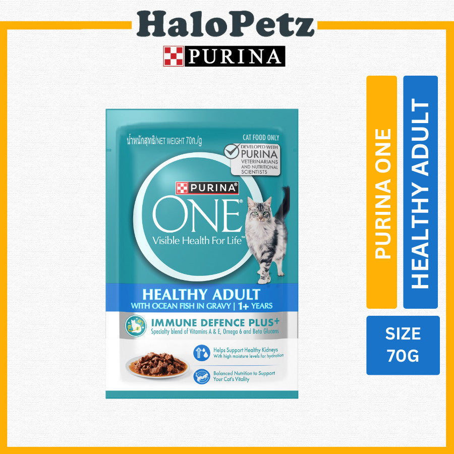 Purina ONE Cat Wet Food Pouch 70g