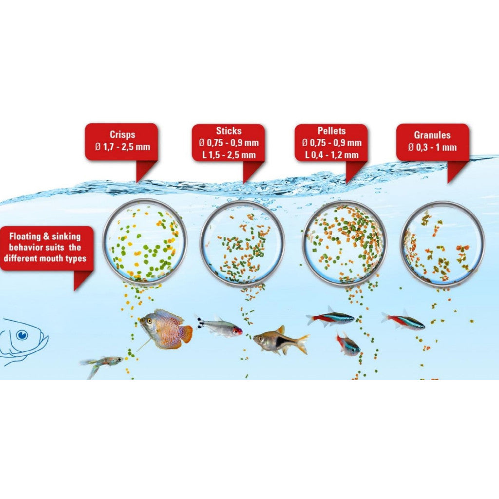Tetra Micro Pellets Granules Sticks Crisps Complete Food for Small Tropical Fish