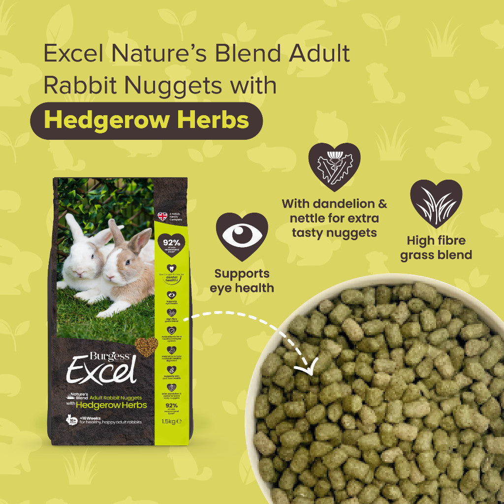 Burgess Excel Nuggets | Rabbit Chinchilla Guinea Pig Food
