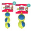 Kong AirDog Dog Toy | Donut, Football, Dumbbell, Stick & Ball | Squeaky Fetch Toys