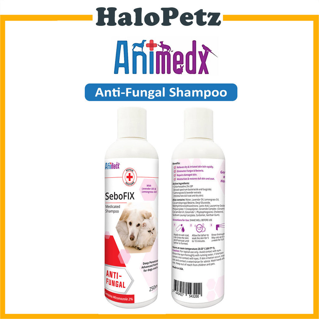 Animedx Sebofix Medicated Shampoo 250ml | Anti-Fungal for Cats & Dogs