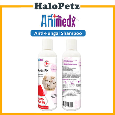 Animedx Sebofix Medicated Shampoo 250ml -Cat Dog, Anti-Fungal